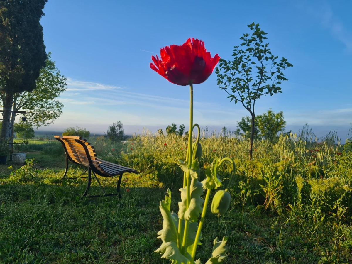 La Ferme Constantin Villa Fayence Luaran gambar