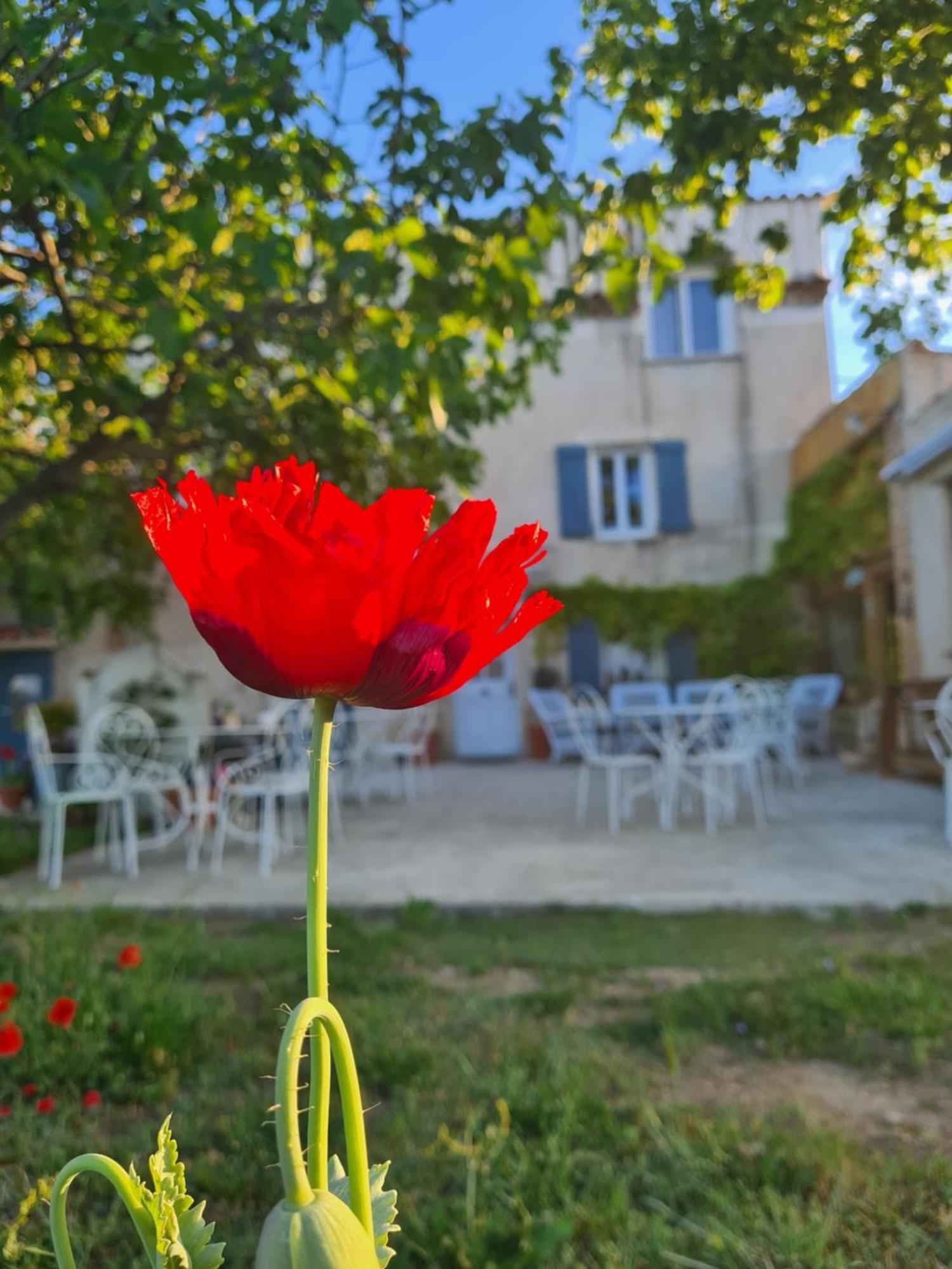 La Ferme Constantin Villa Fayence Bilik gambar